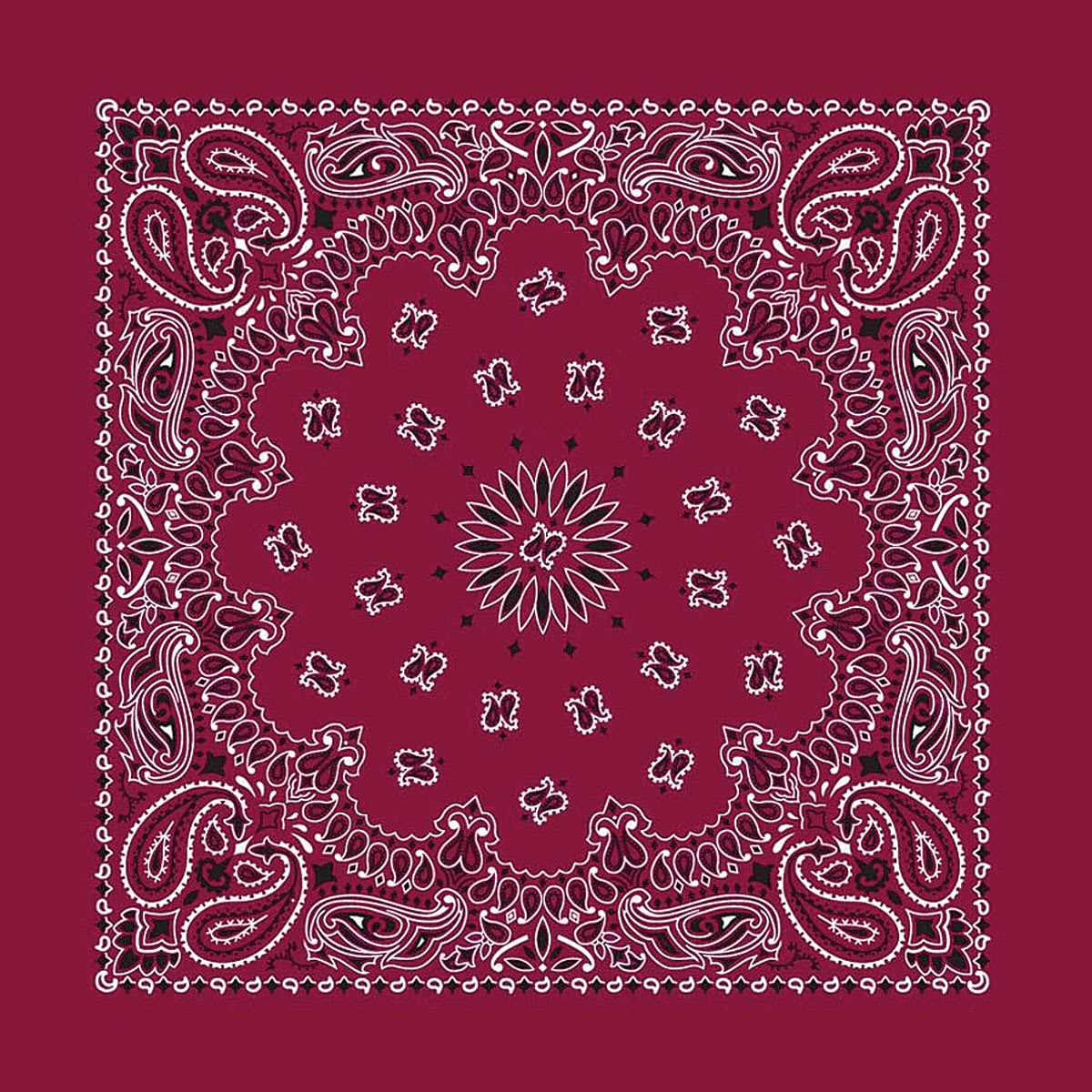 Hav-A-Hank Paisley Bandanas