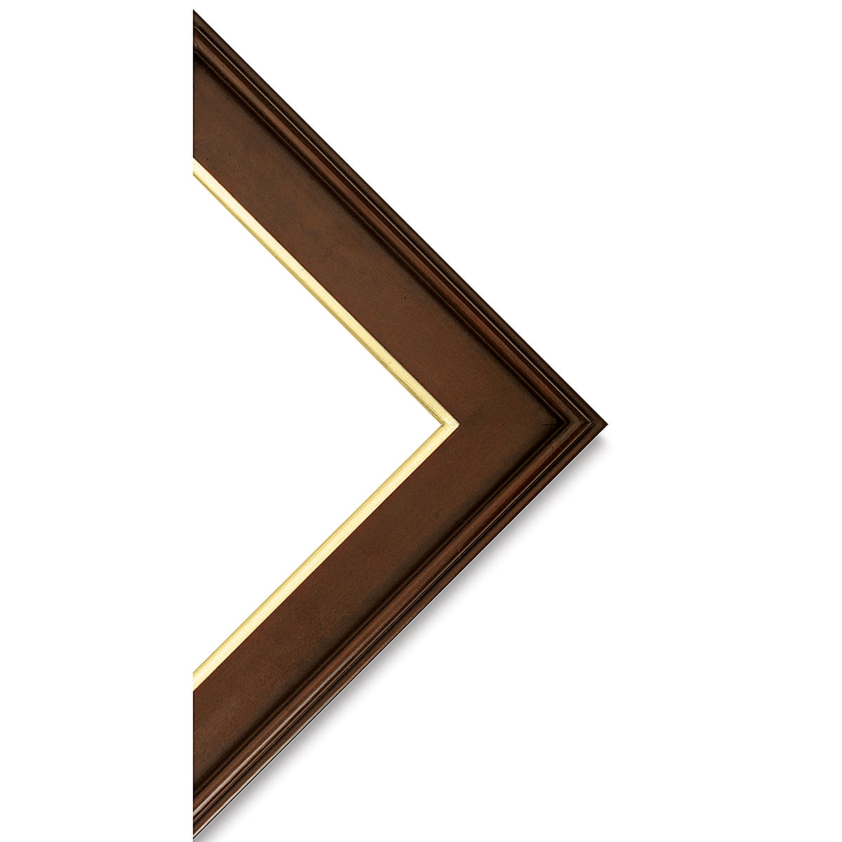 Blick Simplon Frame with Liner - 16" x 20" x 5/16", Walnut/Gold