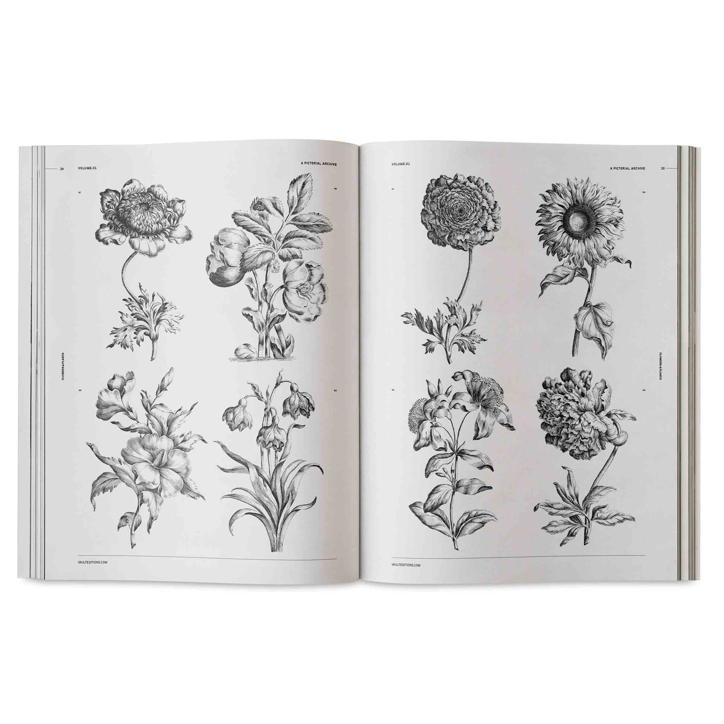 Vault Editions Flowers and Plants – An Image Archive for Artists