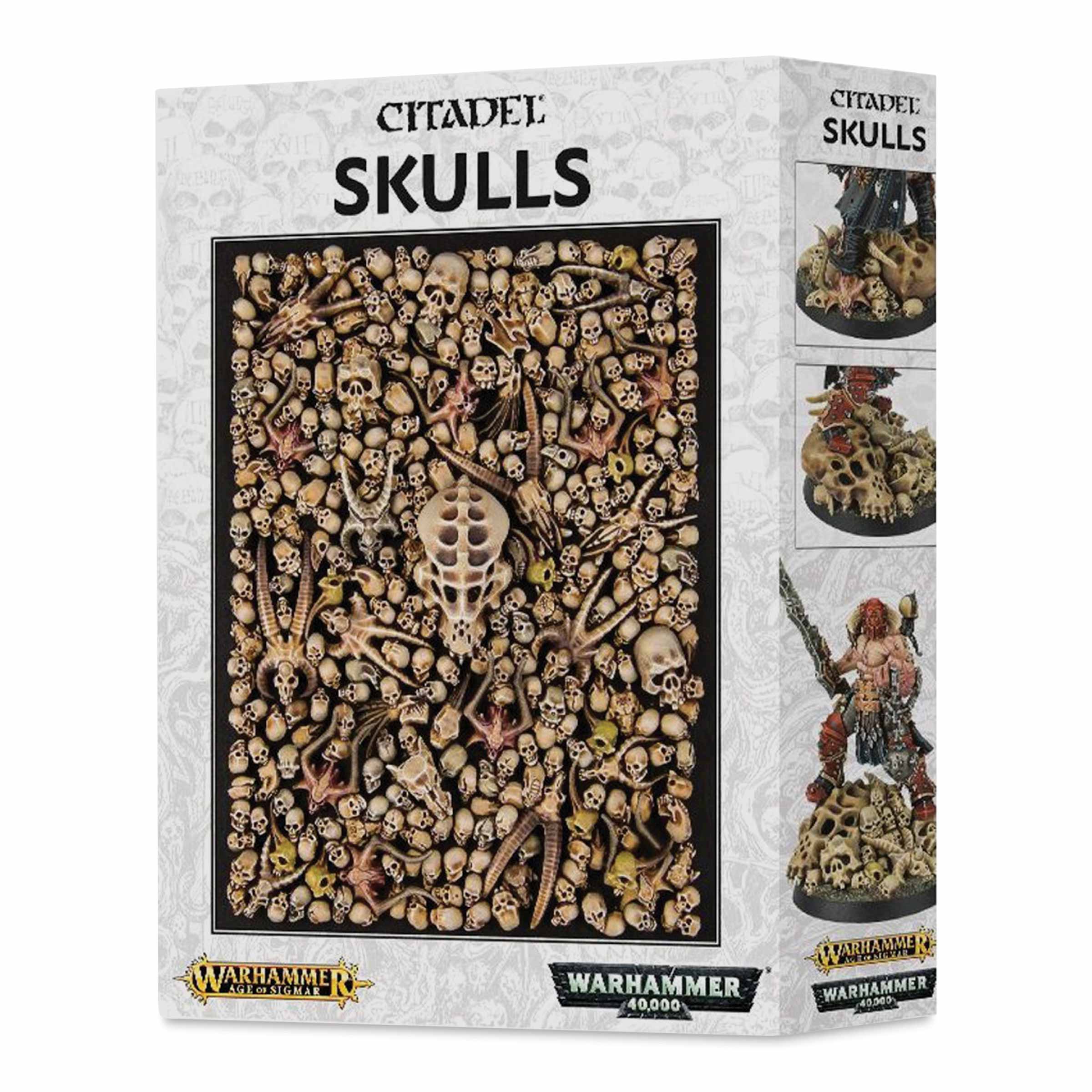 Citadel Skulls Set