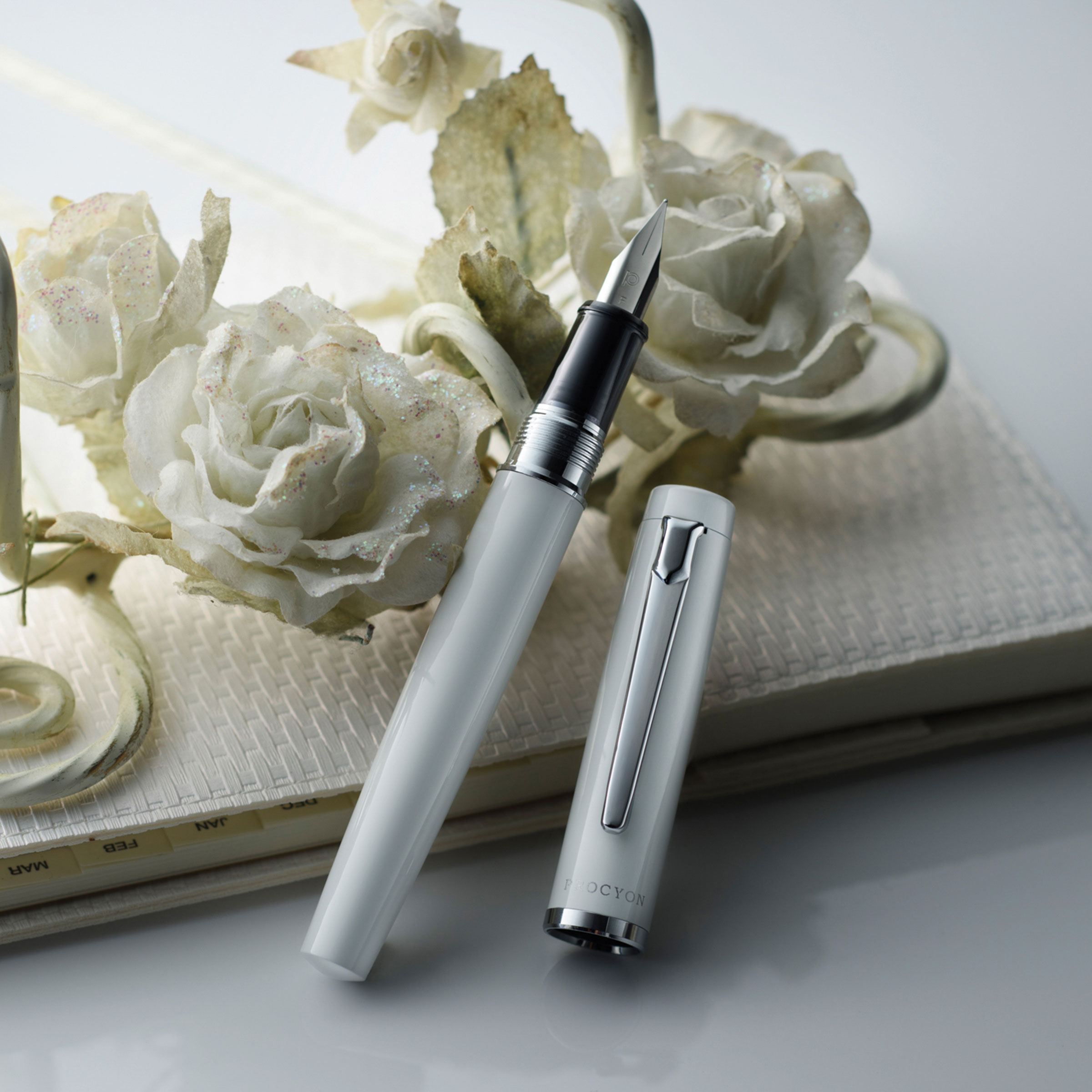 Platinum Procyon Fountain Pen - Porcelain White, Fine Nib | BLICK